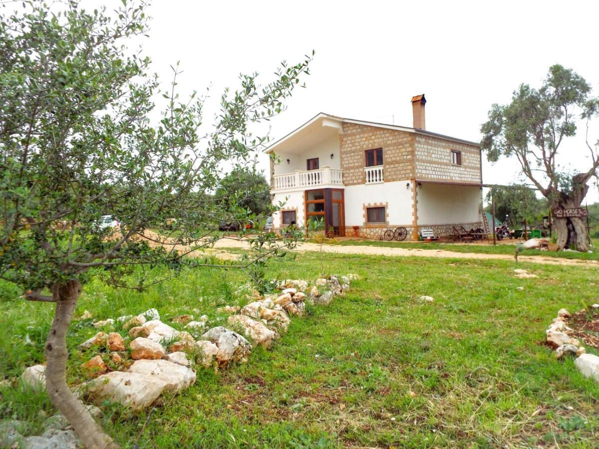 Gio Horses B&B San Nicandro Garganico Exterior photo